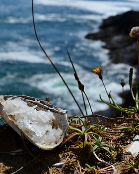 Oregon Loiterers.jpg